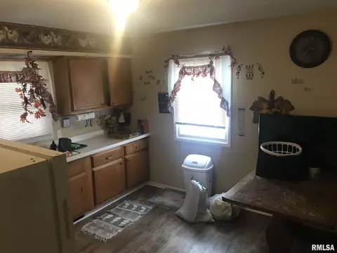 829 9th Ave, Fulton, IL 61252 photo 6