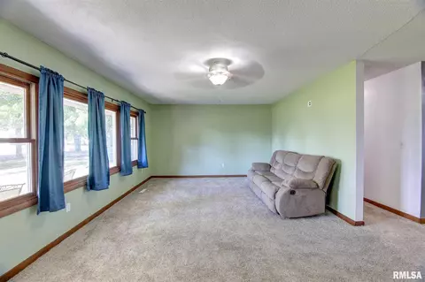 9239 North Ave, Thomson, IL 61285 photo 7