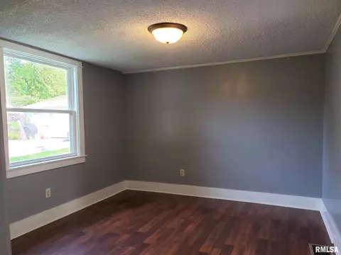 110 Towne St, Morrison, IL 61270 photo 6