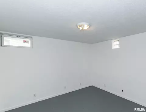 209 3rd St, Sherrard, IL 61281 photo 22