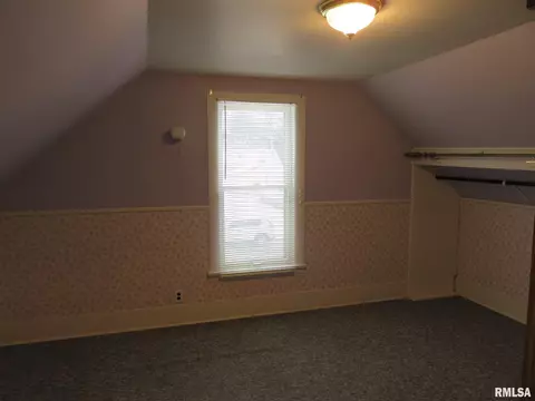 918 13th Ave, Fulton, IL 61252 photo 20