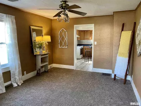 204 E Monroe St, Joy, IL 61260 photo 3