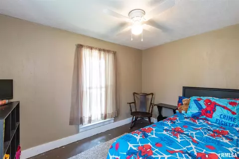 209 S Orange St, Morrison, IL 61270 photo 11
