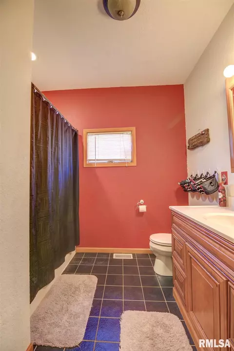 908 9th Ave, Fulton, IL 61252 photo 6