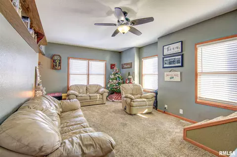 908 9th Ave, Fulton, IL 61252 photo 4