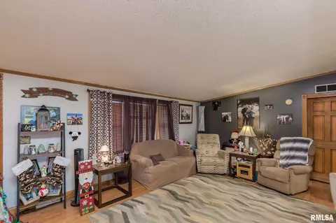 1001 230th St, Aledo, IL 61231 photo 6