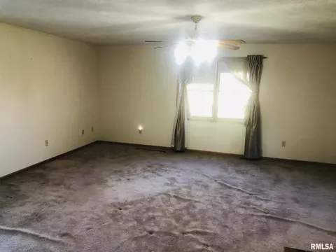 118 Clark St, Chenoa, IL 61726 photo 20