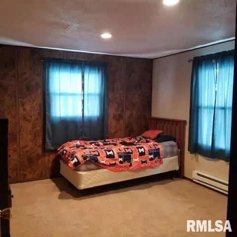 306 Oak St, Andover, IL 61233 photo 11