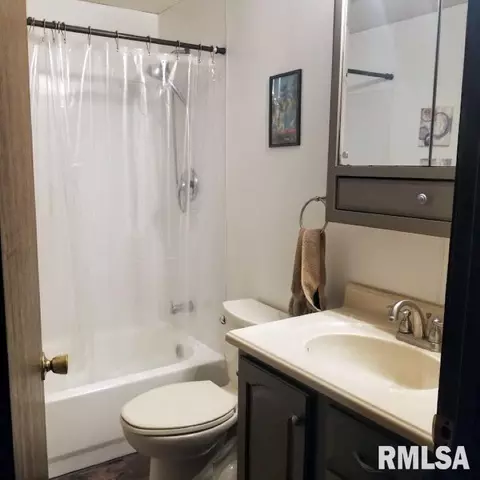 306 Oak St, Andover, IL 61233 photo 14