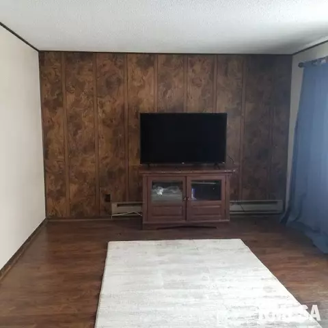 306 Oak St, Andover, IL 61233 photo 8