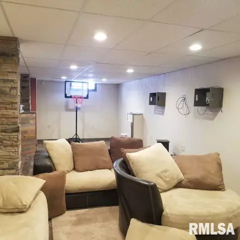 306 Oak St, Andover, IL 61233 photo 19