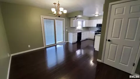 1411 8th Ave, Fulton, IL 61252 photo 21