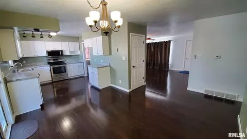 1411 8th Ave, Fulton, IL 61252 photo 15