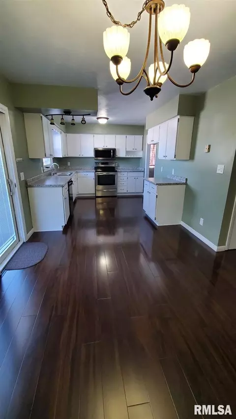 1411 8th Ave, Fulton, IL 61252 photo 20