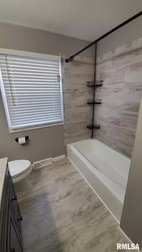 1411 8th Ave, Fulton, IL 61252 photo 38