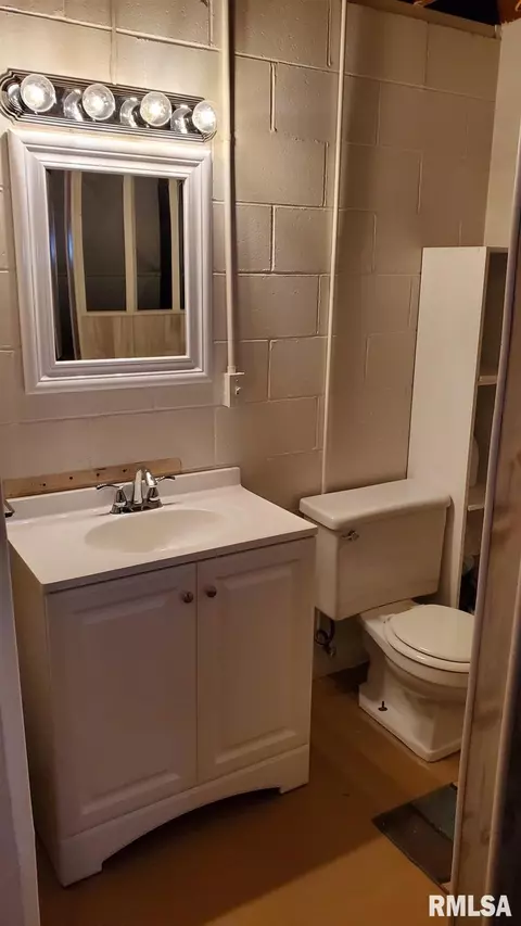 1411 8th Ave, Fulton, IL 61252 photo 45