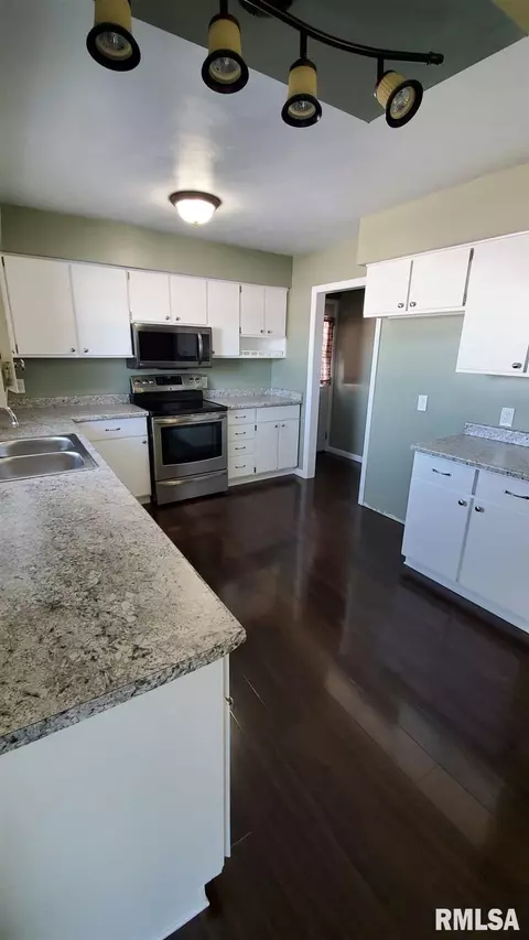 1411 8th Ave, Fulton, IL 61252 photo 19