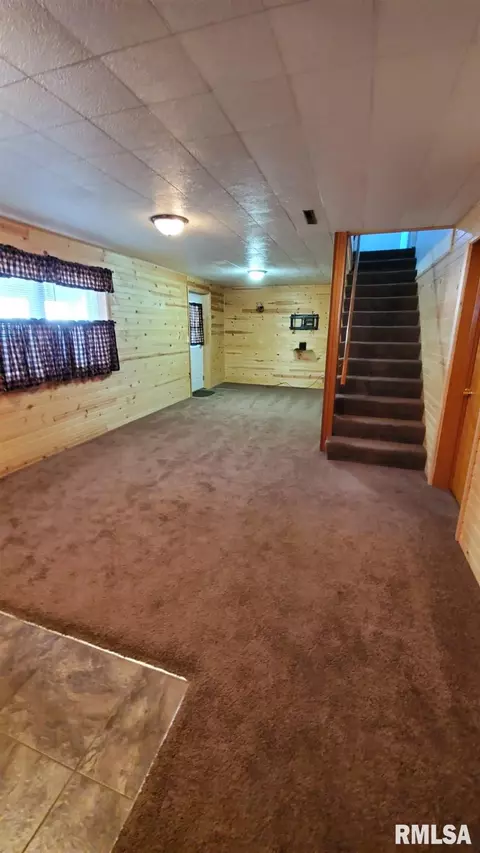 1411 8th Ave, Fulton, IL 61252 photo 39