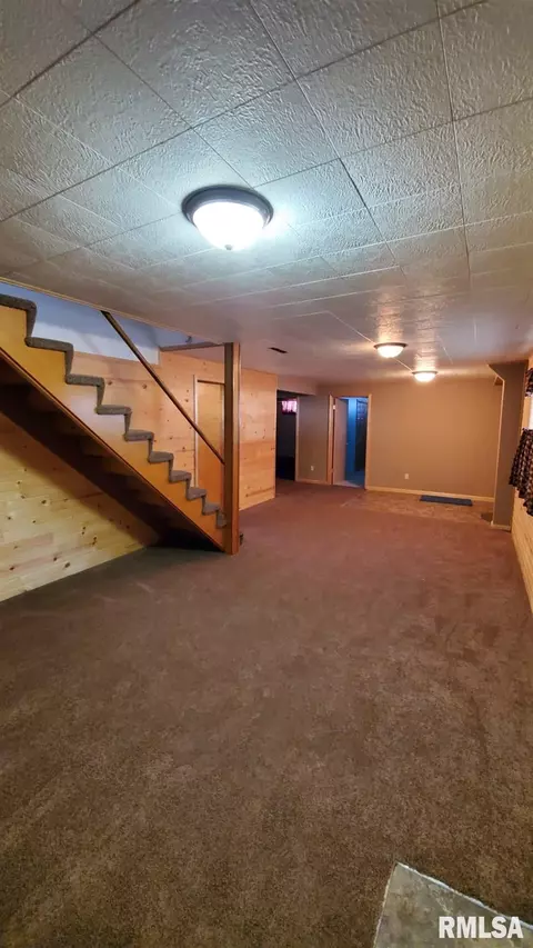 1411 8th Ave, Fulton, IL 61252 photo 42