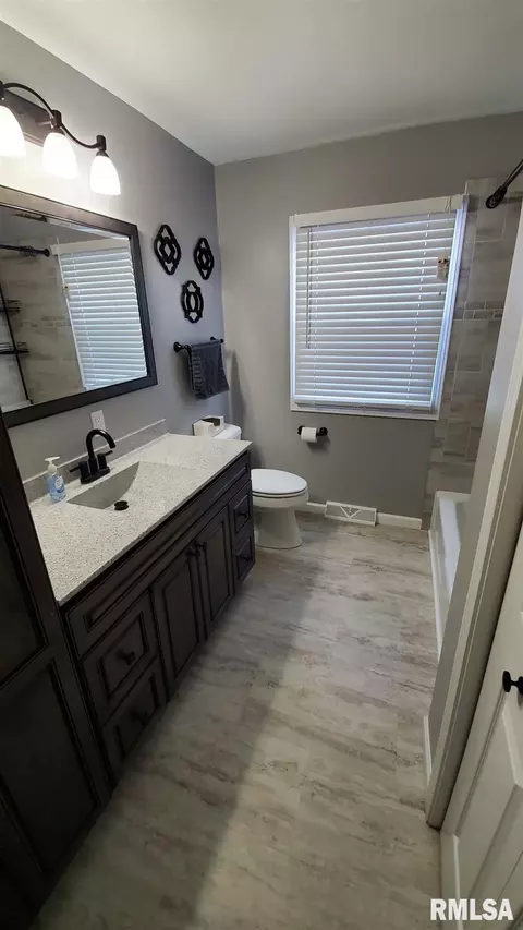 1411 8th Ave, Fulton, IL 61252 photo 35