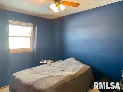 631 Genesee Ave, Morrison, IL 61270 photo 17