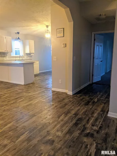 12827 Webb Hill Rd, Ewing, IL 62836 photo 28