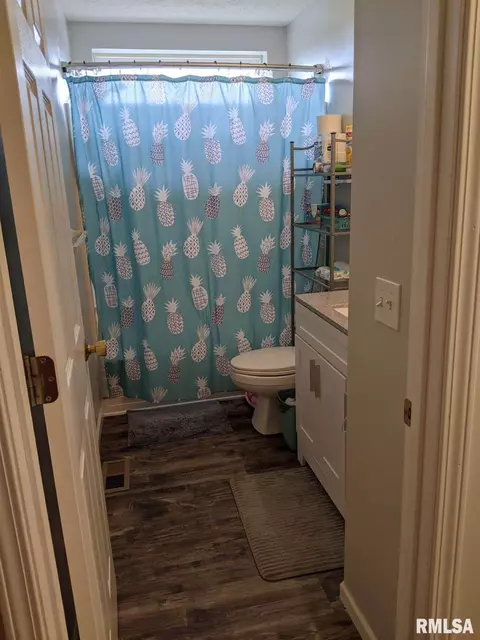 12827 Webb Hill Rd, Ewing, IL 62836 photo 8
