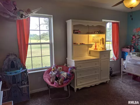 12827 Webb Hill Rd, Ewing, IL 62836 photo 11