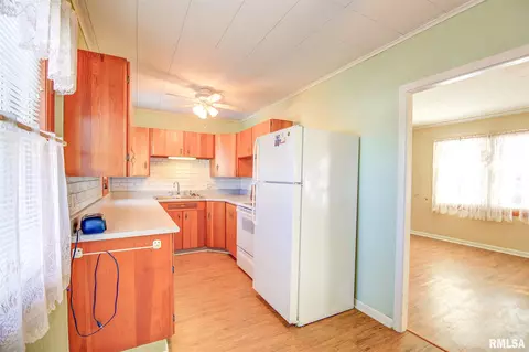 618 8th Ave, Fulton, IL 61252 photo 6