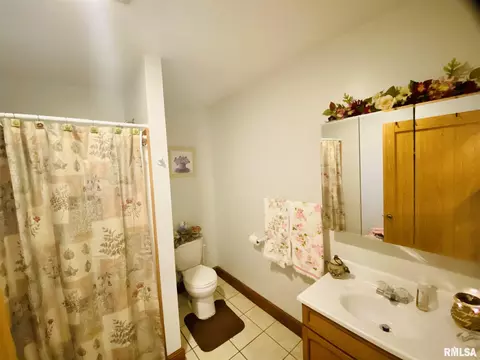 2434 95th Ave, Viola, IL 61486 photo 4