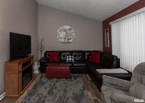 108 3rd Ave, Hampton, IL 61256 photo 4