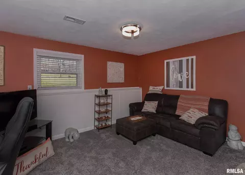 108 3rd Ave, Hampton, IL 61256 photo 10