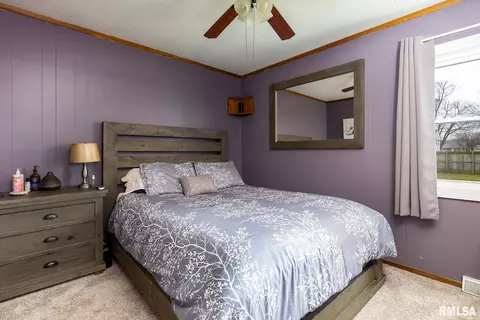 830 E 3rd Ave, Milan, IL 61264 photo 9