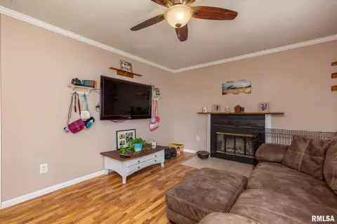 830 E 3rd Ave, Milan, IL 61264 photo 4