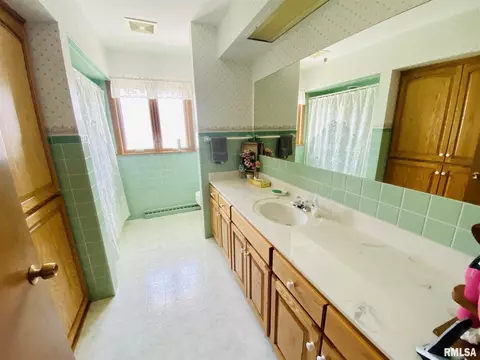 304 Oakview Ter, Aledo, IL 61231 photo 18