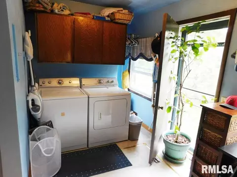 242 Oak St, Andover, IL 61233 photo 14