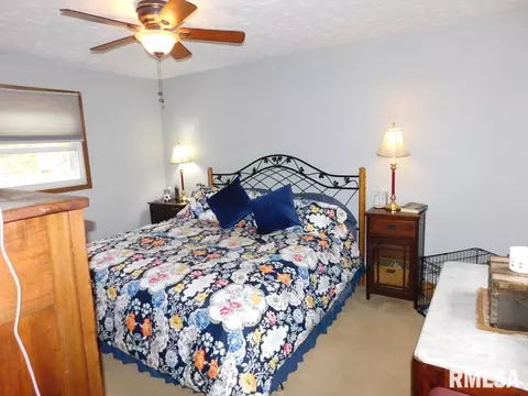242 Oak St, Andover, IL 61233 photo 15