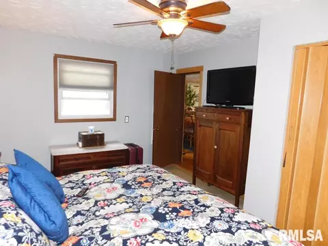 242 Oak St, Andover, IL 61233 photo 16