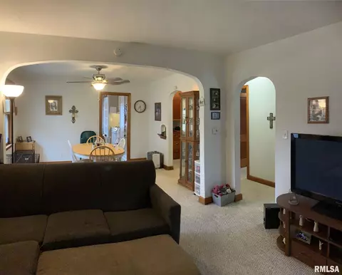 205 N 1st St, Alpha, IL 61413 photo 4