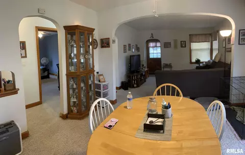 205 N 1st St, Alpha, IL 61413 photo 5