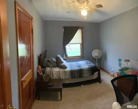 205 N 1st St, Alpha, IL 61413 photo 13