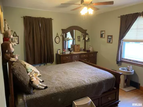 205 N 1st St, Alpha, IL 61413 photo 10