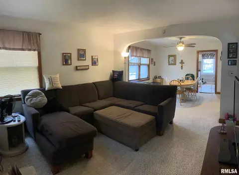 205 N 1st St, Alpha, IL 61413 photo 3
