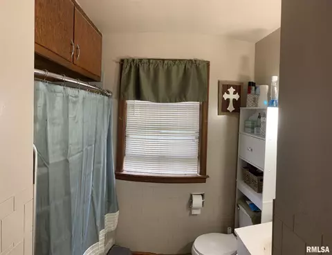 205 N 1st St, Alpha, IL 61413 photo 14