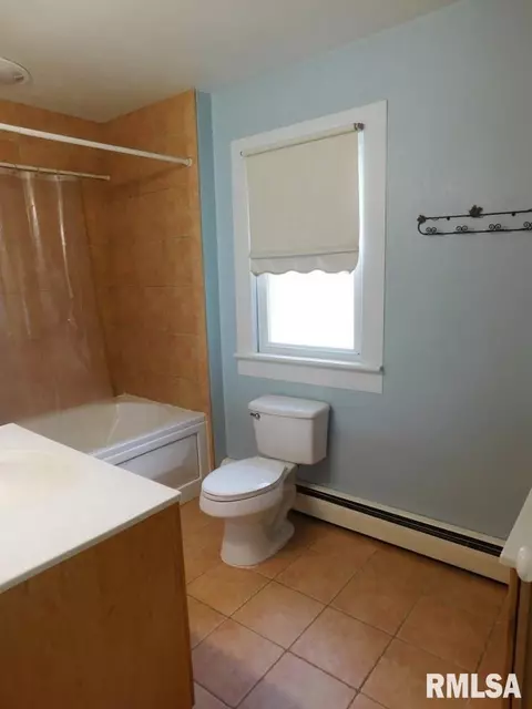 1002 9th St, Orion, IL 61273 photo 26