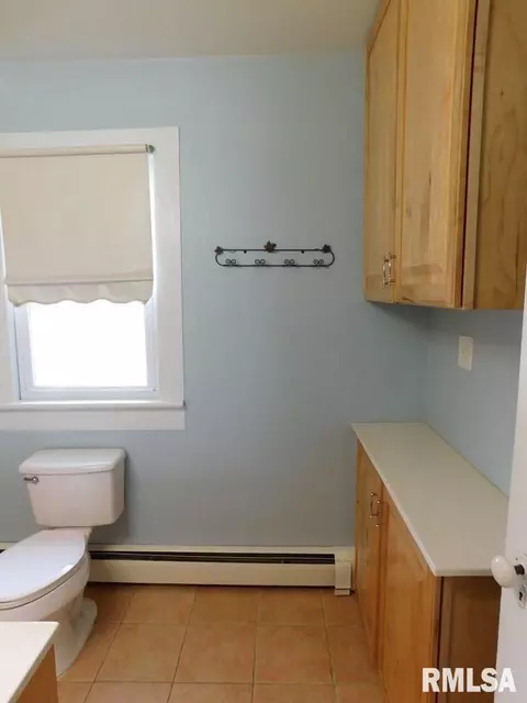 1002 9th St, Orion, IL 61273 photo 27