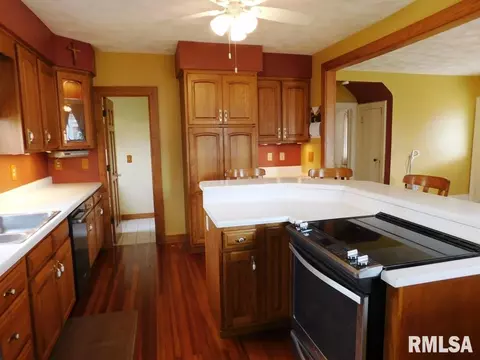 1002 9th St, Orion, IL 61273 photo 10