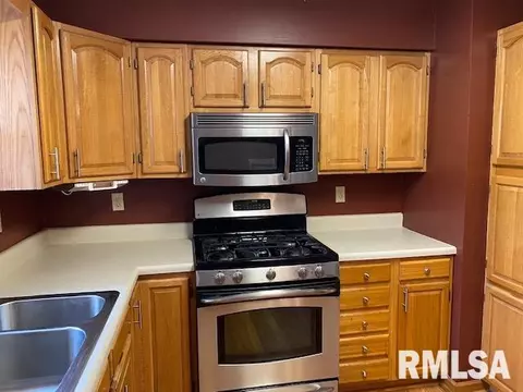 1102 4th Street A, Hampton, IL 61256 photo 11