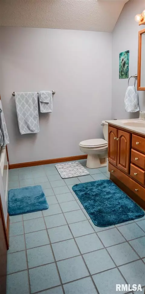 6386 Tyner Ln, Marion, IL 62959 photo 20