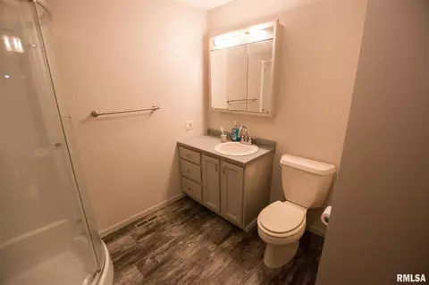 404 9th Ave, Fulton, IL 61252 photo 12